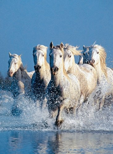Puzzle Horses - Banbury Arte